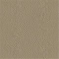 Moonwalk Universal Pty Ltd Turner 3948 Simulated Leather Vinyl Contract Rated Fabric; Taupe TURNE3948